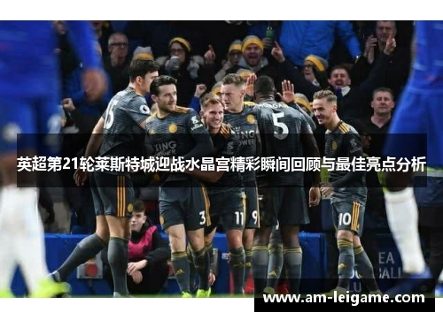 英超第21轮莱斯特城迎战水晶宫精彩瞬间回顾与最佳亮点分析 英超第21轮莱斯特城迎战水晶宫精彩瞬间回顾与最佳亮点分析