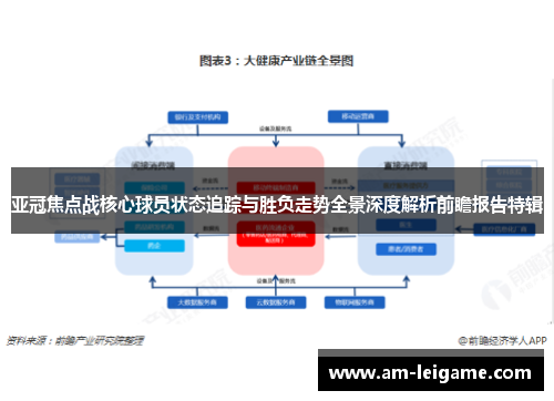 亚冠焦点战核心球员状态追踪与胜负走势全景深度解析前瞻报告特辑