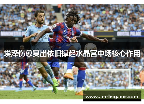 埃泽伤愈复出依旧撑起水晶宫中场核心作用 埃泽伤愈复出依旧撑起水晶宫中场核心作用